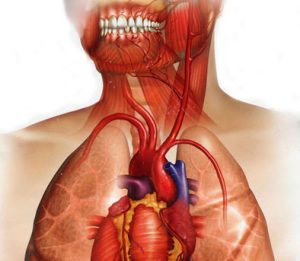 biofilms orales disfunción eréctil